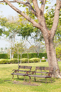 草坪上的小便裤植物花园叶子车道家具小路阳光季节人行道椅子图片