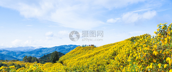 鲜花田草地森林季节土地天空植物高地全景环境风景图片