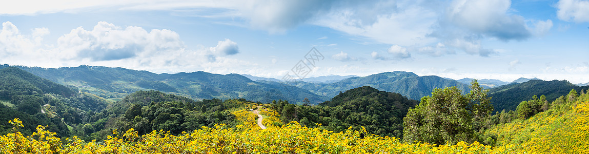 鲜花 山地和天空的全景图片