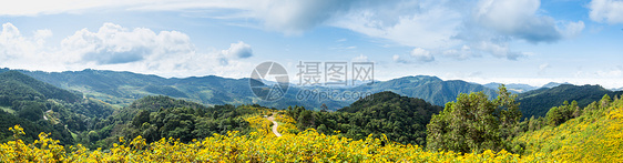 鲜花 山地和天空的全景图片