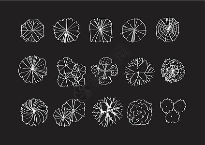 用于建筑景观设计项目的树顶视图 T圆圈印迹午餐植物森林方案环境衬套插图树叶图片