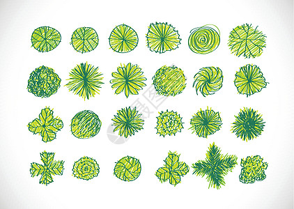 用于建筑景观设计项目的树顶视图 T衬套环境园艺方案生长印迹树叶插图森林午餐图片
