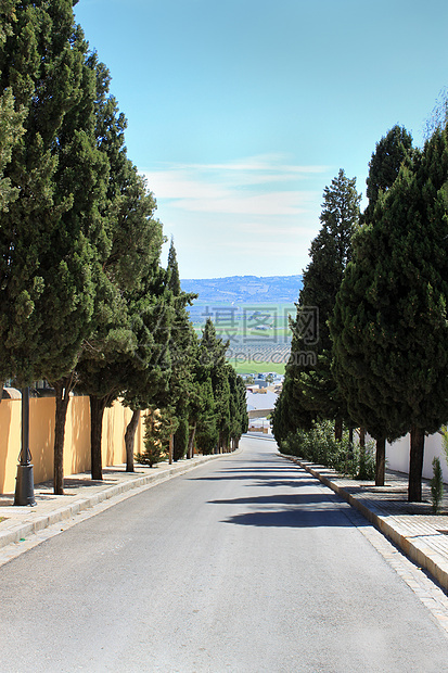 西班牙奥苏纳的树条街道图片