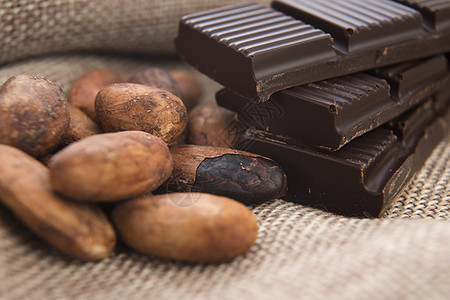 可可可可豆和巧克力可可核心植物种子美味扁豆食物玻璃甜点烹饪图片