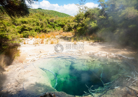 新西兰Tokaanu热温池热带蒸汽矿物蓝色公园吸引力丛林温泉沸腾地热图片