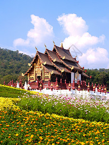 皇家植物展销会花园文化奢华旅行植物群建筑艺术贵族建筑学纪念碑图片