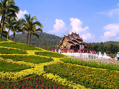 皇家植物展销会历史旅游奢华建筑学旅行植物群假期寺庙池塘艺术图片