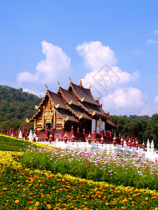 皇家植物展销会旅行建筑学池塘反射奢华寺庙热带贵族建筑地标图片