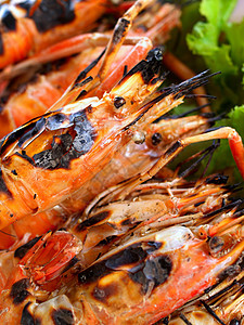 泰式泰国菜食菜单桌子厨房橙子美食猪肉蔬菜宴会奢华午餐面条图片