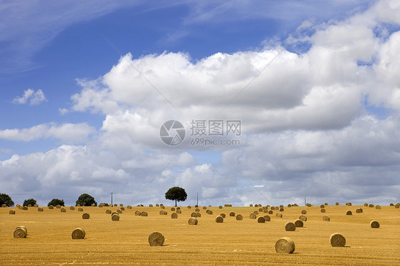 干干草天气天空农村土地农田国家植物收获草垛季节图片