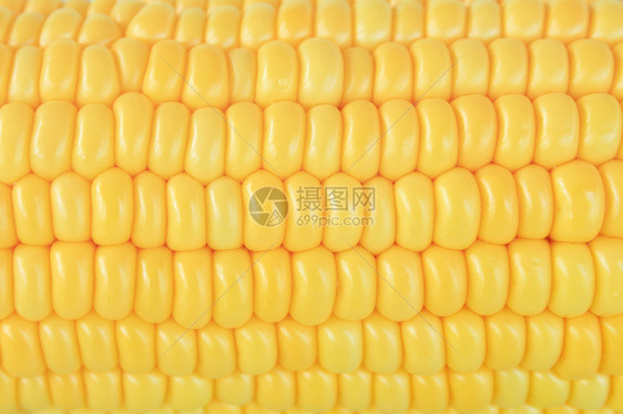 成熟玉米谷物农业粮食黄色食物蔬菜图片