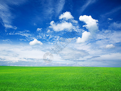 字段绿色阳光场地植物风景多云远景地平线农场草地图片