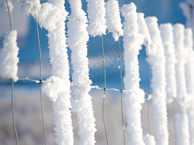 铁丝栅栏上的霜霜背景图片