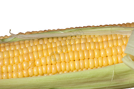 白色背景上孤立的新鲜玉米营养黄色粮食食物绿色棒子农业宏观蔬菜收成图片