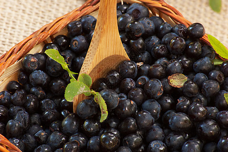 蓝莓 用木勺装篮子图片