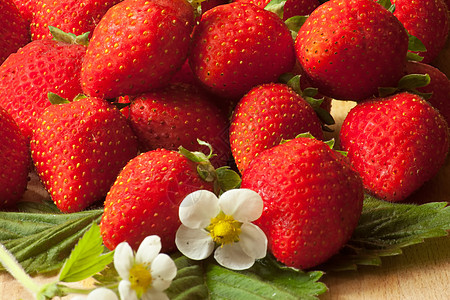 带白春花的新鲜草莓图片