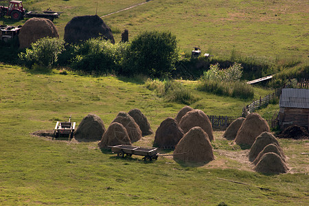 国别景面景观收成场地拖拉机农业运输干草植物绿色车轮农场图片