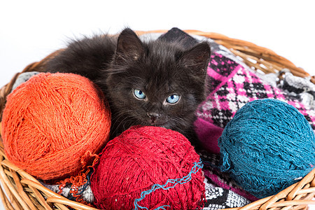 黑小黑猫玩着红色的白底线球尾巴细绳头发猫科动物毛皮玩具篮子晶须乐趣休息背景图片