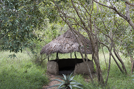 非洲自然的非洲农村非洲小屋图片