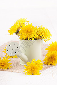在小水罐里放丹迪利翁植物群黄麻棕色喷壶花瓣图片