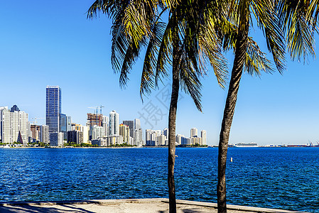 迈阿密市中心天线天际旅行目的地景观观光地标全景公寓旅游反射图片