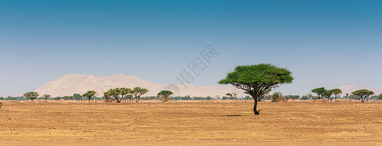 阿拉伯沙漠衣服沙漠男人天空灰尘沙景头巾国家旅行冒险图片
