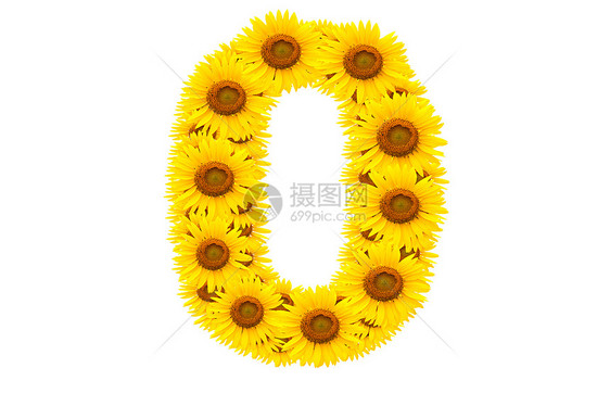 0号胸花菊苣草地创造力宏观数字字体植物学向日葵玫瑰图片