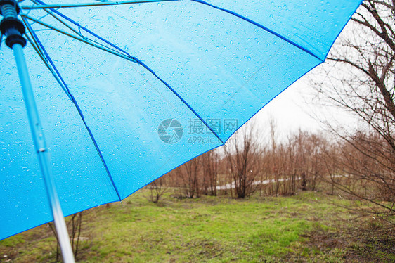 公园的雨伞图片