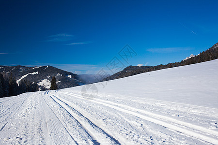 滑雪胜地上的斜坡蓝色闲暇森林季节顶峰高度高山寒意小精灵树木图片