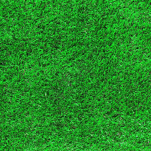 作为背景的绿草花园场地木头草地植物群绿色墙纸环境植物森林图片