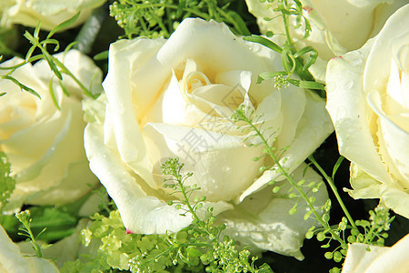 婚礼花 玫瑰和绿色鲜花庆典中心团体婚礼新娘婚姻花瓣装饰品植物群图片