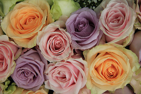 婚嫁安排中的粘贴玫瑰团体庆典花朵中心绿色橙子粉色浪漫新娘婚礼背景图片