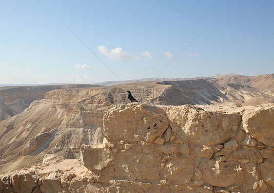 以色列马萨达堡垒中的鸟废墟天空遗迹堡垒沙漠图片
