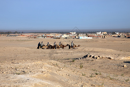 车队孤独动物沙丘单峰哺乳动物游客运输骆驼寂寞旅游图片
