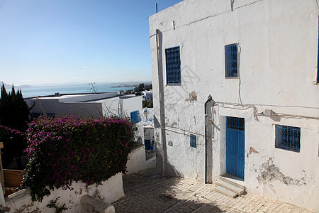 突尼斯风景活力白色植物窗户蓝色楼梯建筑建筑学房子图片
