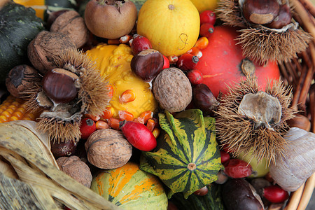秋季收获植物蔬菜收成季节生产营养收藏团体胡桃坚果图片