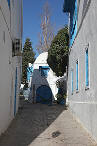 典型建筑 有白墙 蓝门和窗子楼梯房子植物活力白色蓝色建筑学风景图片