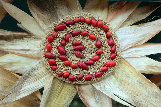 由玉米制成的花朵金子收获太阳环境场地活力季节收成植物燃料图片