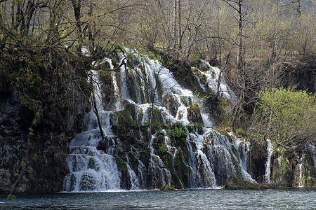 克罗地亚普利维茨湖国家公园森林公园国家旅游石灰石山脉吸引力天堂树叶生育力图片