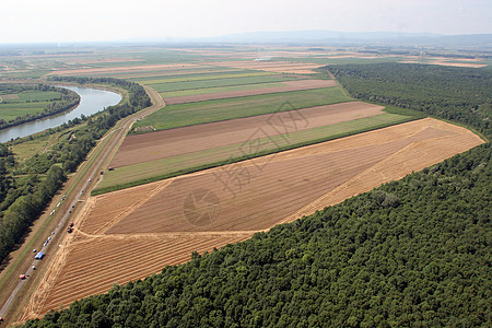 黄金小麦田收获商品生产生态粮食场地工作玉米农场风景图片