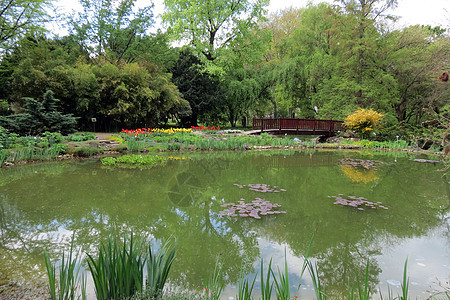 萨格勒布植物园小路花园风景植物草地观光喷泉旅行中心绿色图片