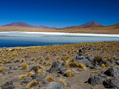 玻利维亚Altiplano的蓝色环礁湖图片