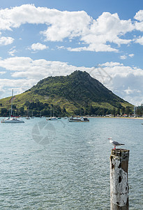 位于新西兰陶朗加的塔兰加山风景海滩爬坡旅游顶峰观光支撑海洋港口图片