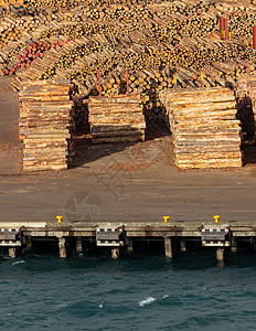 准备通过海路出口的树木树干堆木头木材记录木材业码头日志港口树干松树林业图片