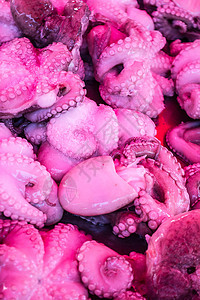 八角食物头足类宏观紫色营养墨水触手渔业熟食螺旋图片