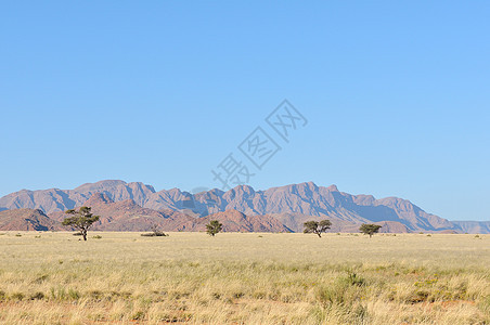 草地和山地景观纳米布荒野孤独干旱沙漠风景图片