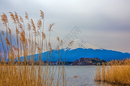 藤藤山阳光植物冰镇观光樱花节日日落天空公吨火山图片