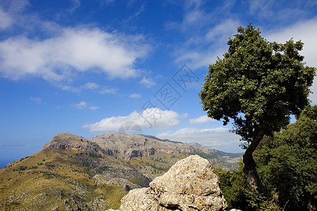 中山山旅行旅游太阳爬坡石头天空假期地标蓝色树木图片