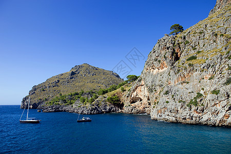 中转石石头植物航行悬崖帆船旅游海岸旅行热带海洋图片