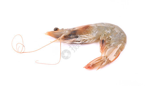 靠近新鲜虾美食贝类饮食甲壳动物营养白色水产午餐食物图片